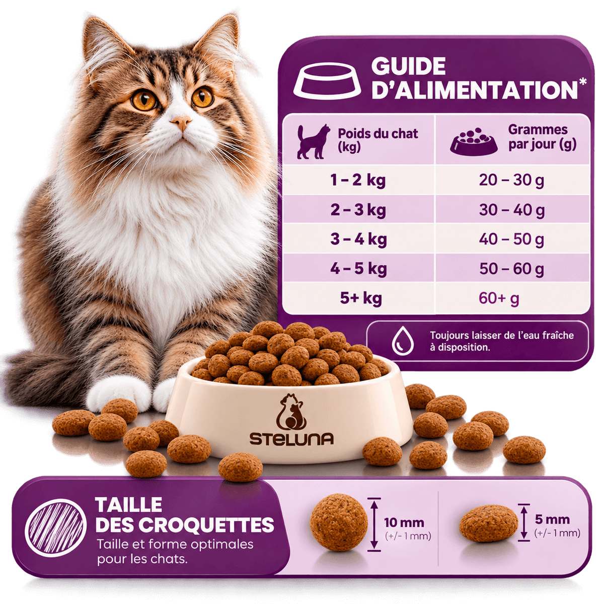 Croquettes Chat Adulte Stérilisé - Saumon et Poisson Blanc