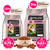 Croquettes Chat Adulte Stérilisé - Saumon et Poisson Blanc